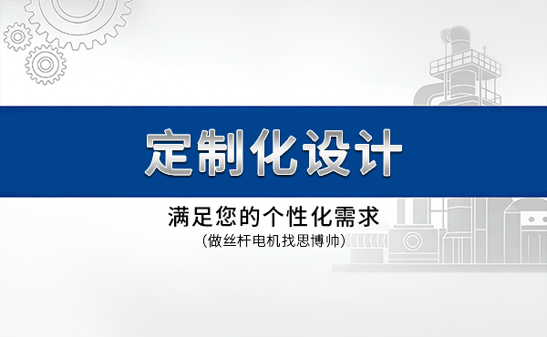 定制化设计